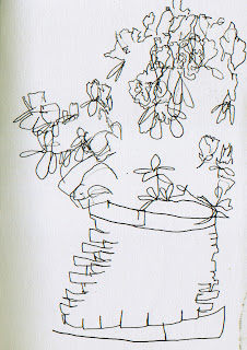 226x320 Blind Contour Drawing - Still Life Contour Drawing