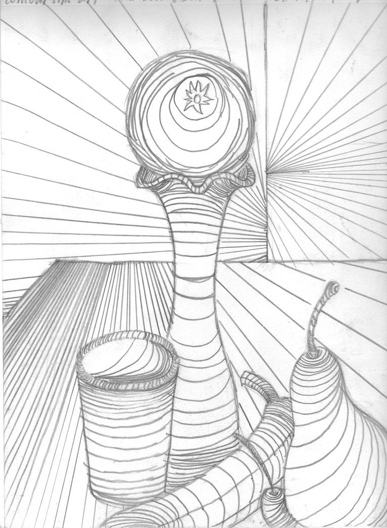 765x1044 Cross Contour Still Life - Still Life Contour Line Drawing
