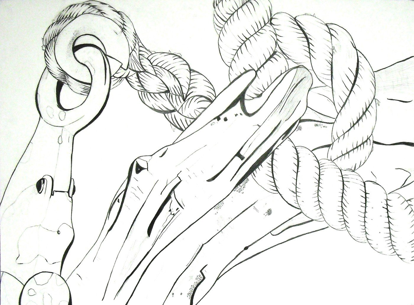 1400x1032 Drawing I - Still Life Contour Line Drawing