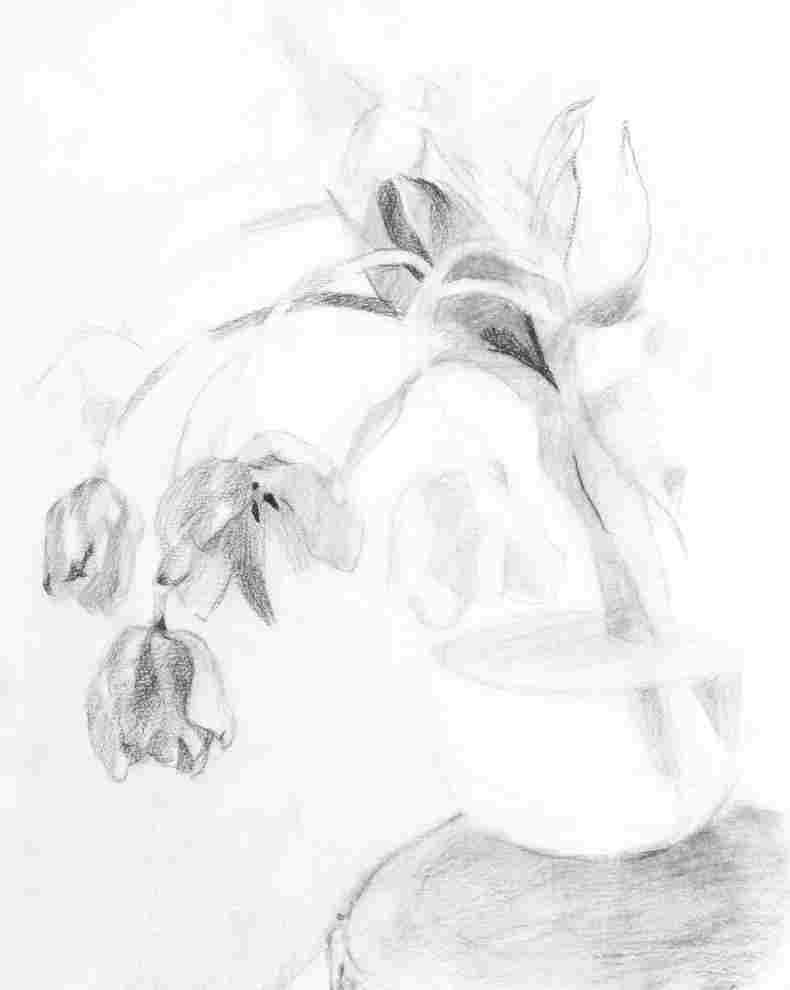 790x990 still life drawings grade art contour line still life drawings - Still Life Contour Line Drawing