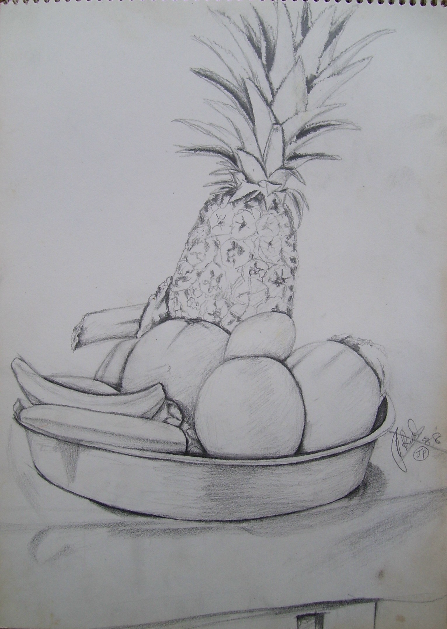 1531x2154 John Powell Artwork Pine With Fruits Stiil Life Drawing - Still Life Drawing