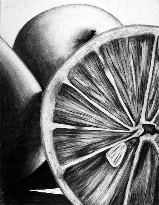 560x720 Still Life Drawing - Still Life Drawing