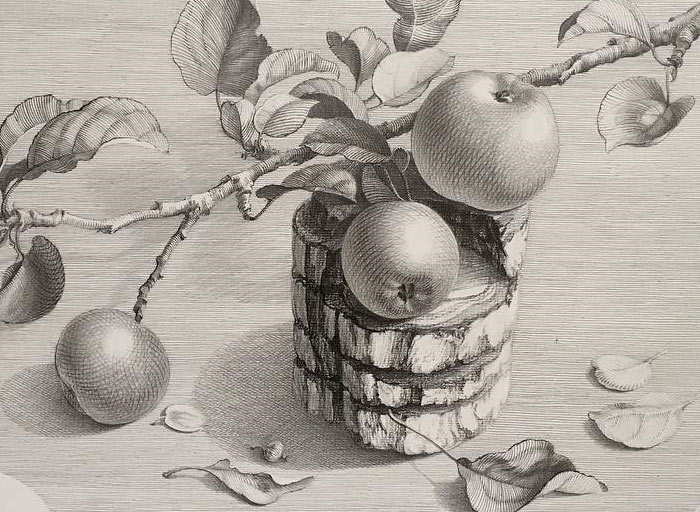 700x512 Still Life Drawing Critique - Still Life Drawing Artists