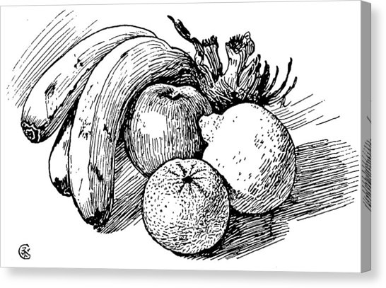 546x407 Pen Drawing Of Fruit Drawing - Still Life Fruit Drawing