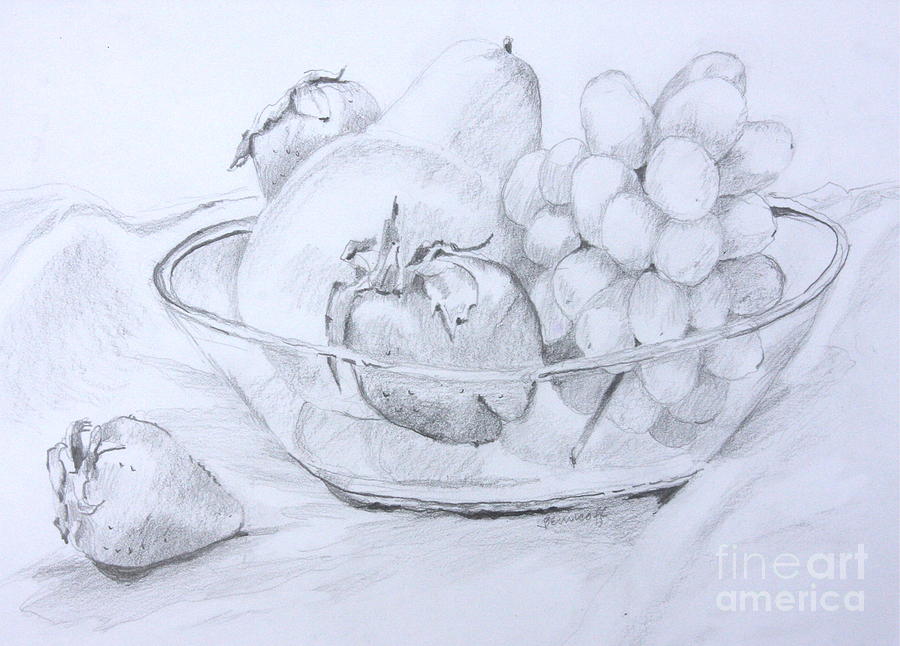 900x646 Still Life With Fruit Drawing - Still Life Fruit Drawing