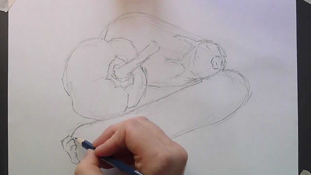 1280x720 Year Still Life Line Drawing - Still Life Line Drawing