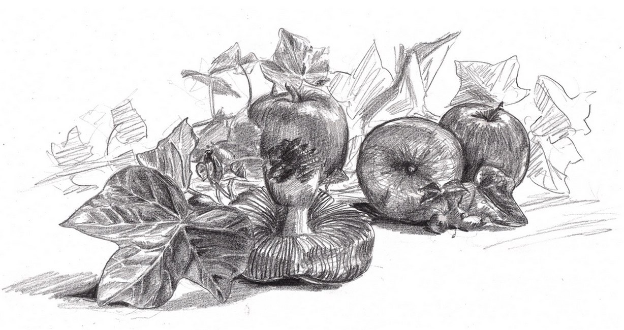 1228x650 Your First Week Of Drawing Drawing A Still Life Colour Cow - Still Life Line Drawing