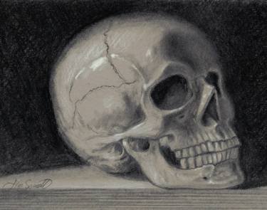 375x295 Memento Mori Drawing - Still Life Pencil Drawing