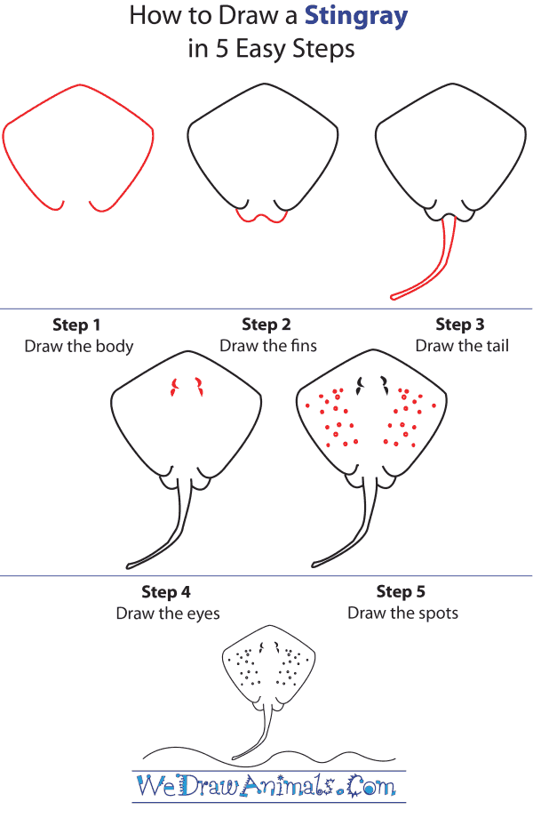 600x920 How To Draw A Stingray - Stingray Drawing