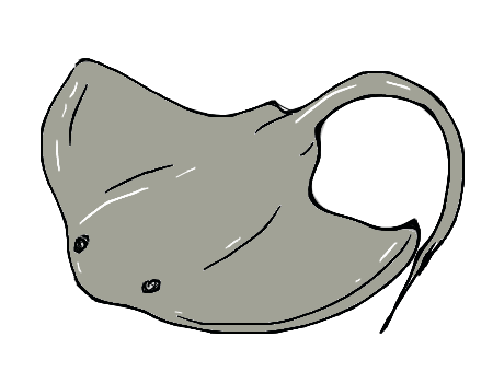 450x340 Stingray Drawing Comment Drawing Cute! Drawings, Animal - Stingray Drawing