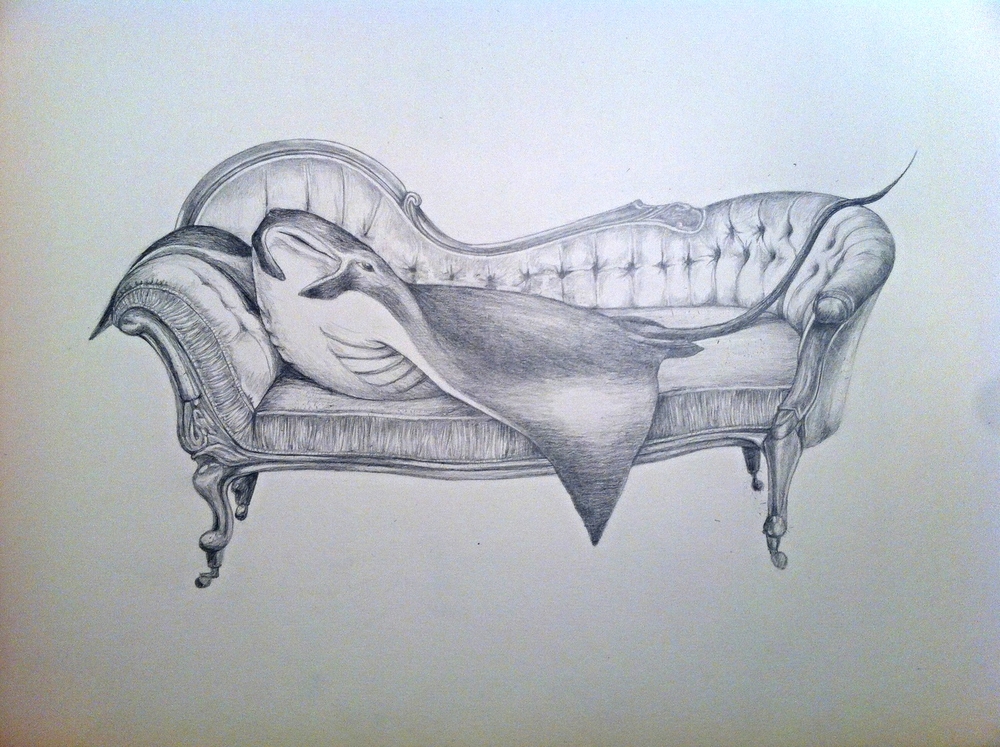 1000x747 Stingray Meryl Smith - Stingray Drawing