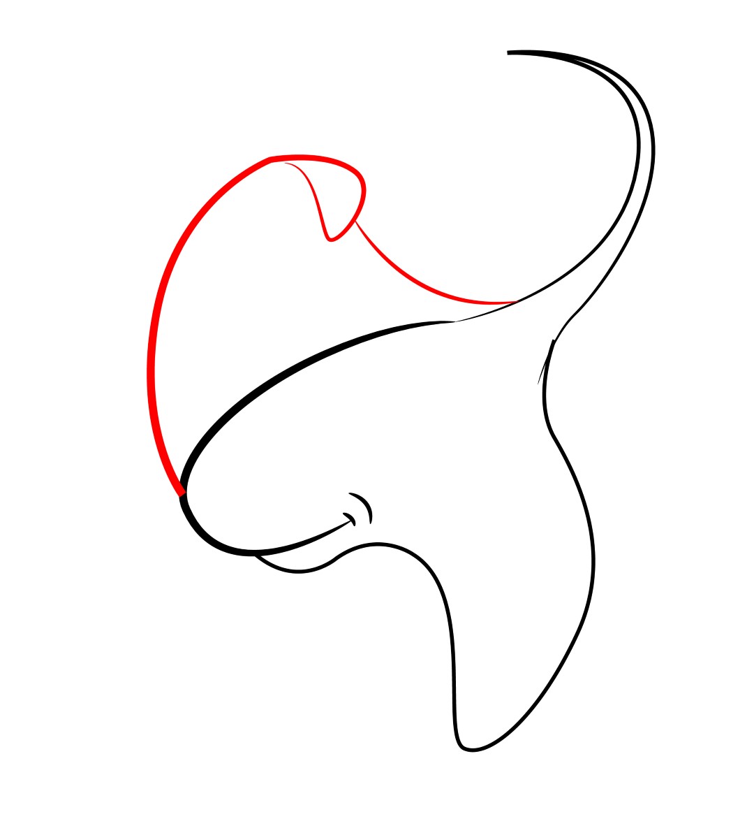 1080x1195 How To Draw A Cartoon Stingray - Stingray Drawing