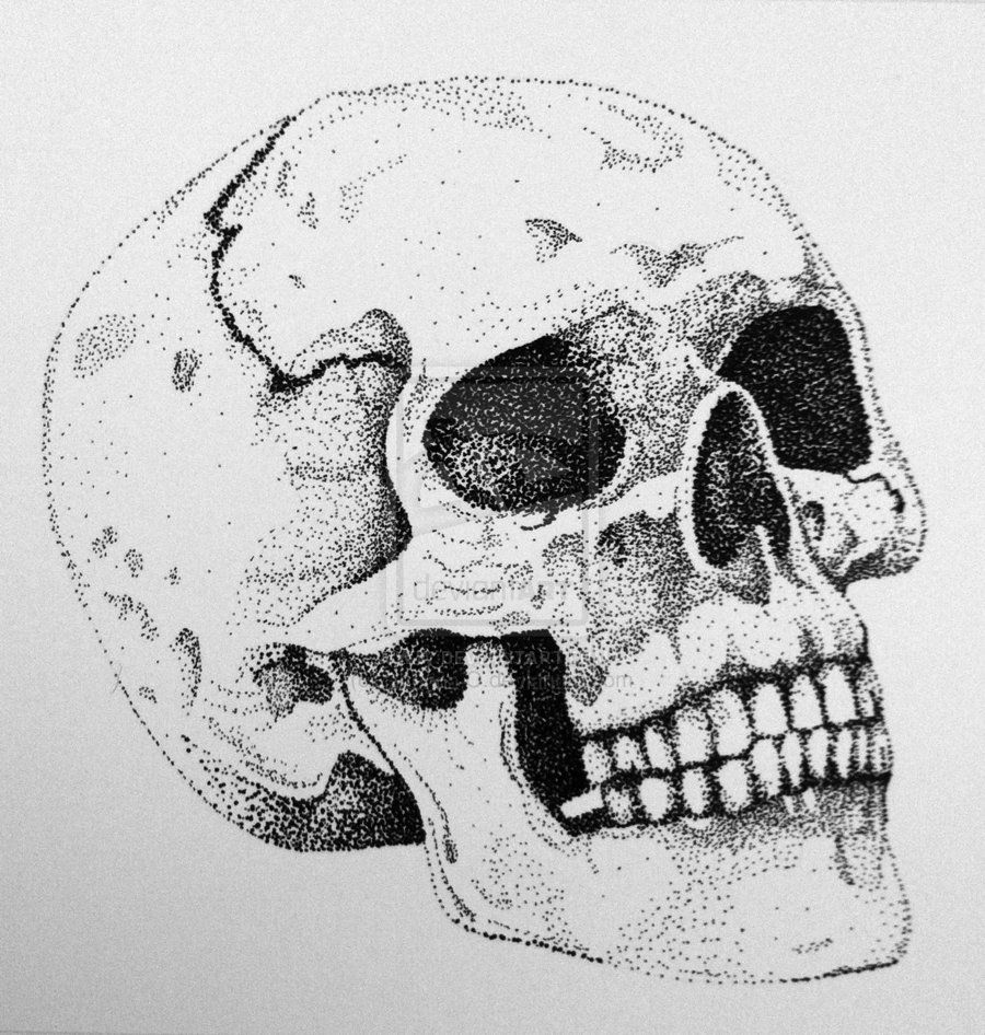 900x946 human skull - Stippled Drawing