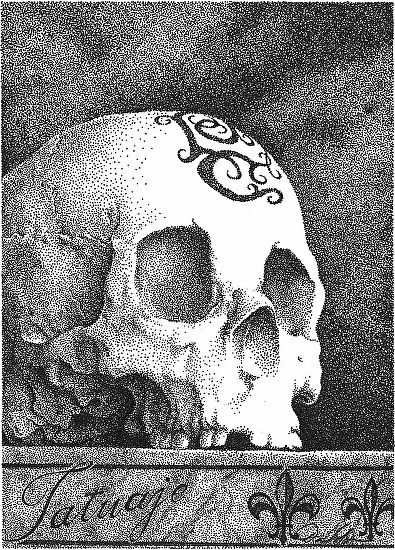 395x550 stippled drawing in india ink cigar art stippling art - Stippled Drawing