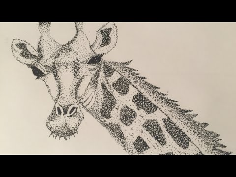 480x360 stippling giraffe speed drawing - Stippled Drawing