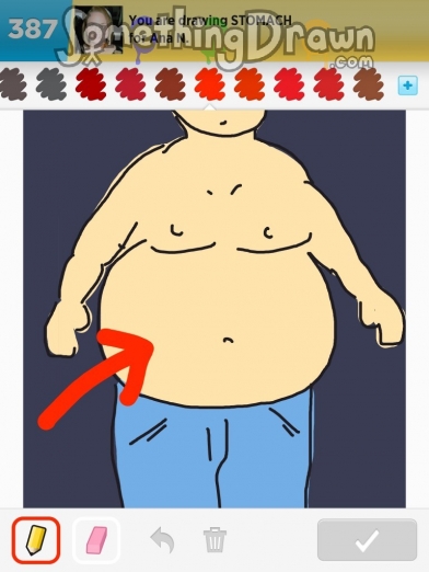392x522  - Stomach Drawing