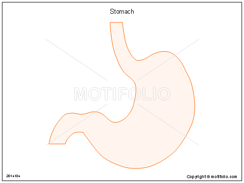 500x375 stomach illustrations - Stomach Drawing