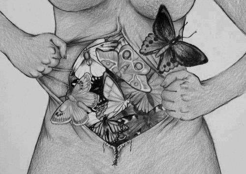 500x353 the butterflies in my stomach are because of you you are to blame - Stomach Drawing