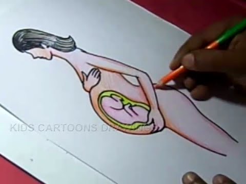 480x360 how to draw child in mother stomach drawing for kids - Stomach Drawing