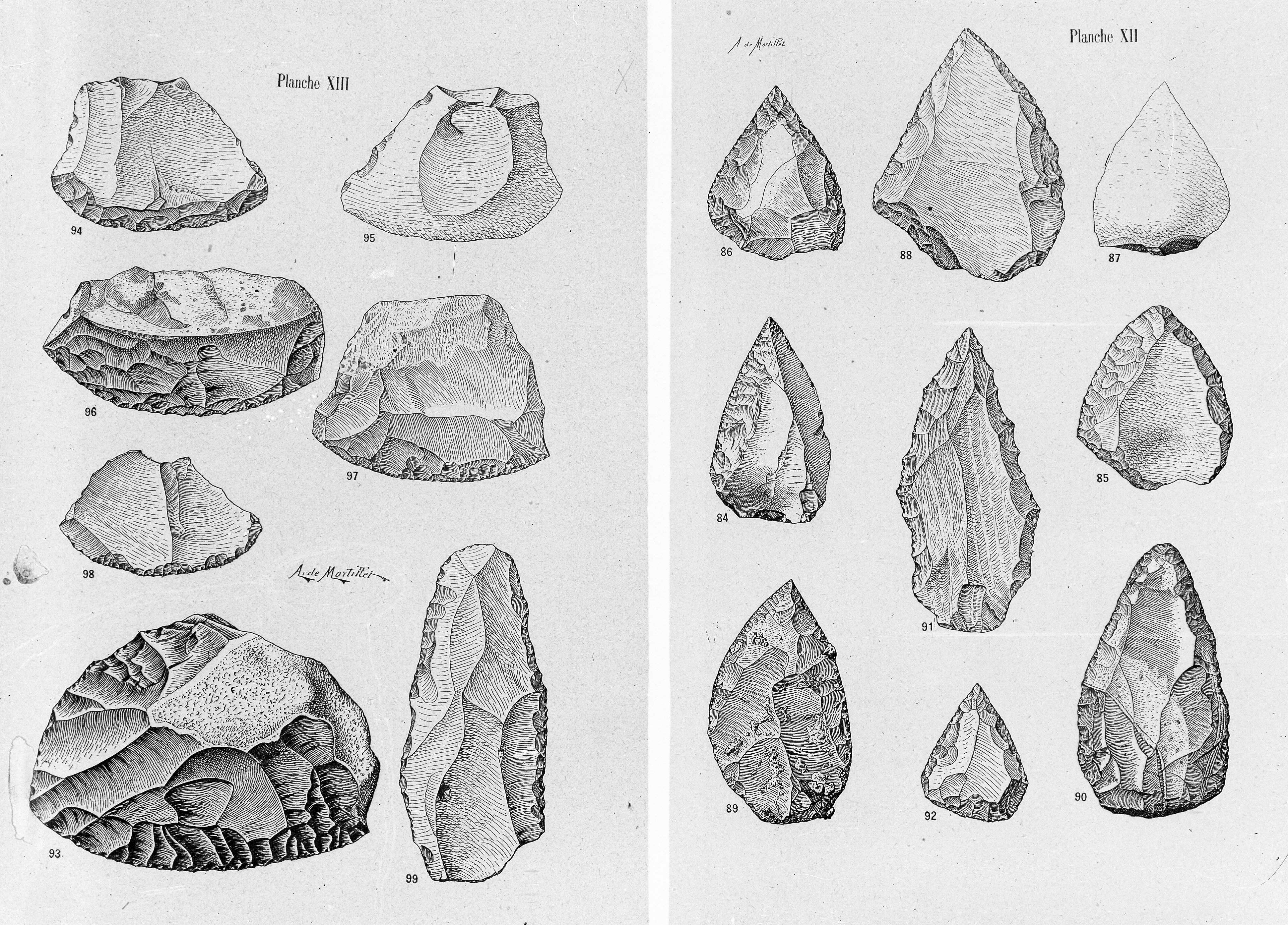 3884x2791 drawings of middle palaeolithic tools points scrapers - Stone Drawing