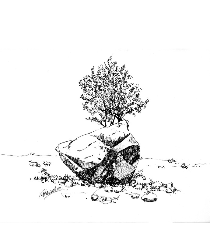 690x768 Stone - Stone Drawing