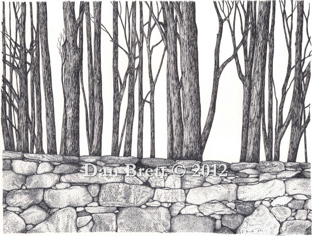 1280x967 Pen And Ink Drawing Stone Wall And Woods - Stone Wall Drawing