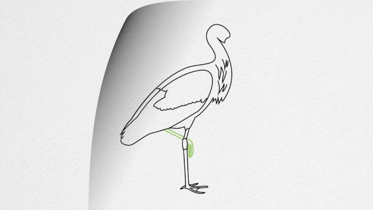 1280x720 how to draw a stork step - Stork Drawing