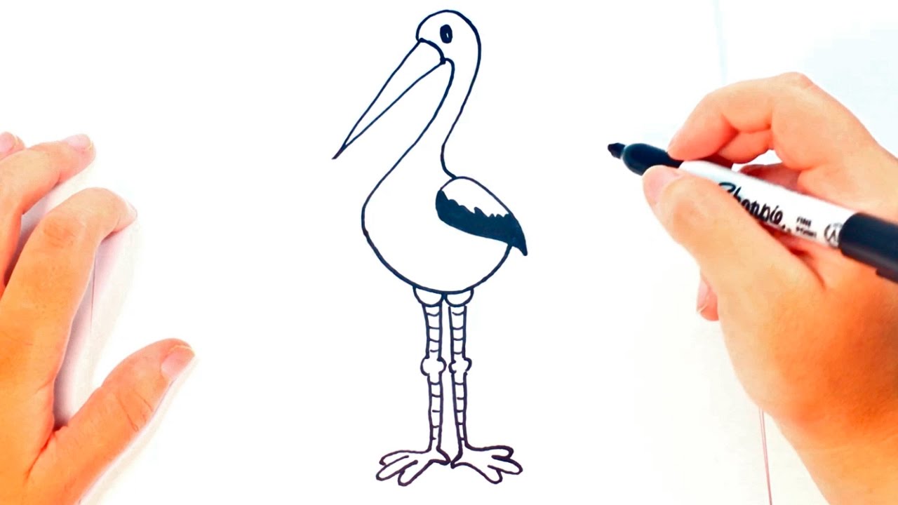 1280x720 how to draw a stork for kids stork drawing lesson step - Stork Drawing