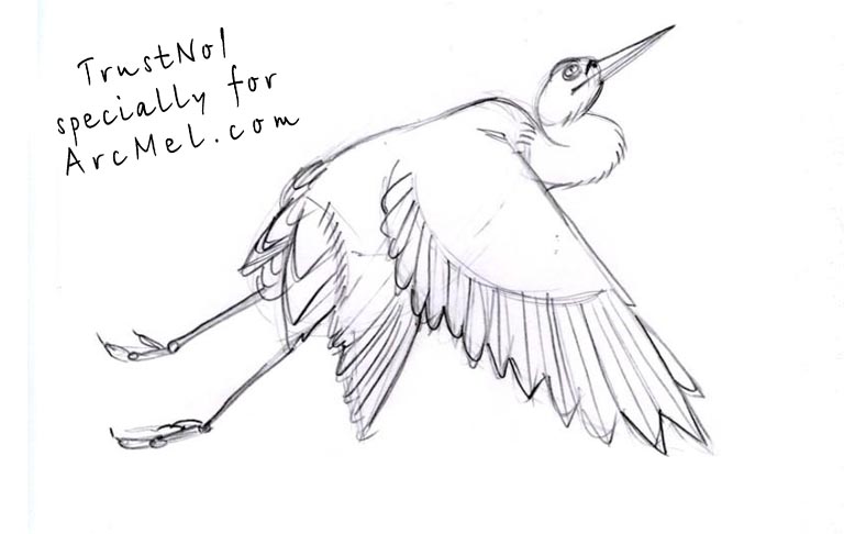 768x486 how to draw a stork step - Stork Drawing