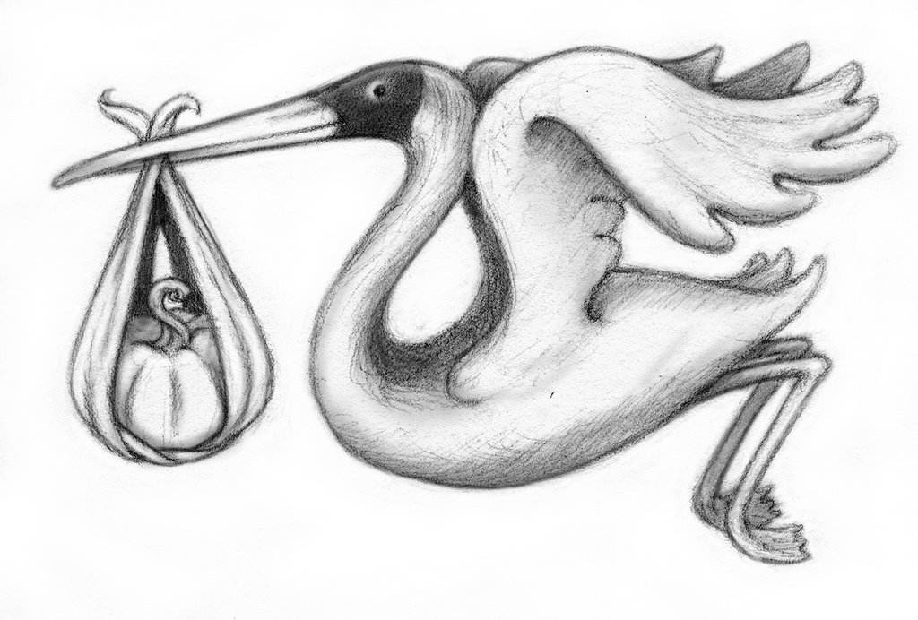 1024x692 todd bonita's art blog stork drawing - Stork Drawing