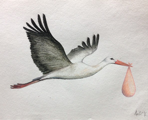 593x480 ele grafton - Stork Drawing