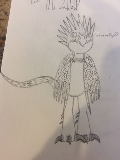 382x512 stormfly drawing! h t t y d amino - Stormfly Drawing