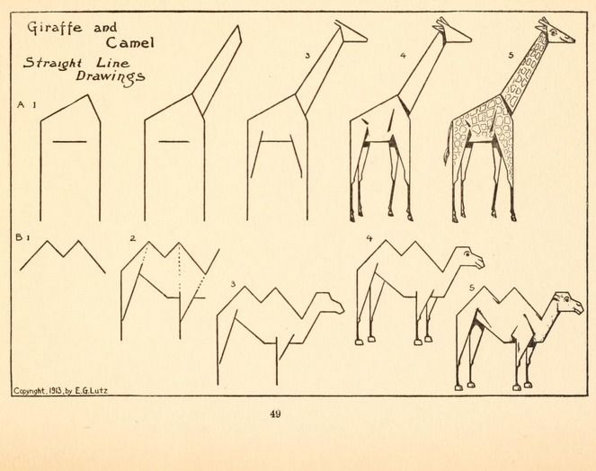 663x524 using straight lines to draw animals - Straight Drawing