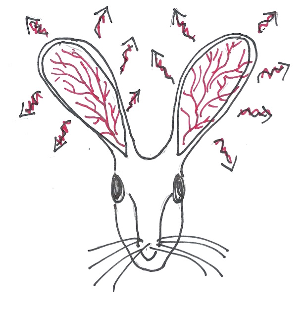 622x628 abstract design strategies - Strategy Drawing