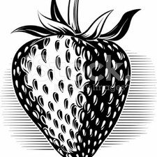 225x225 how to draw strawberries steps - Strawberry Drawing