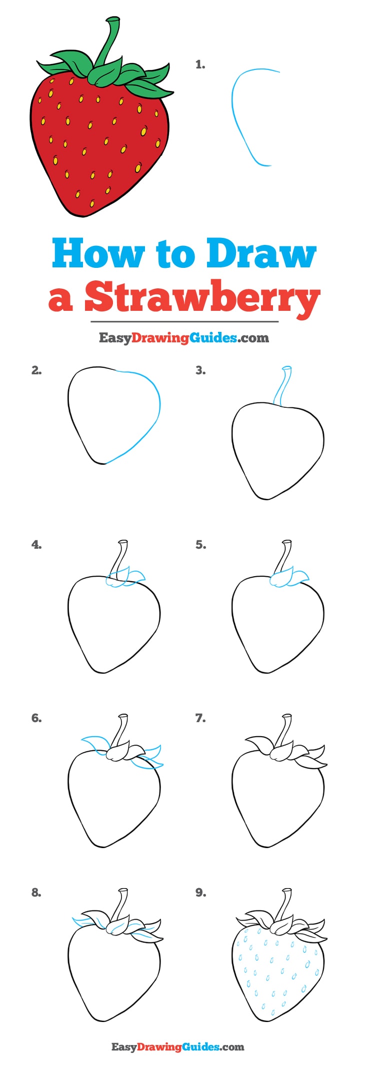 736x2137 how to draw a strawberry - Strawberry Drawing