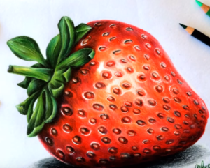 300x241 how to draw a strawberry easy step - Strawberry Drawing