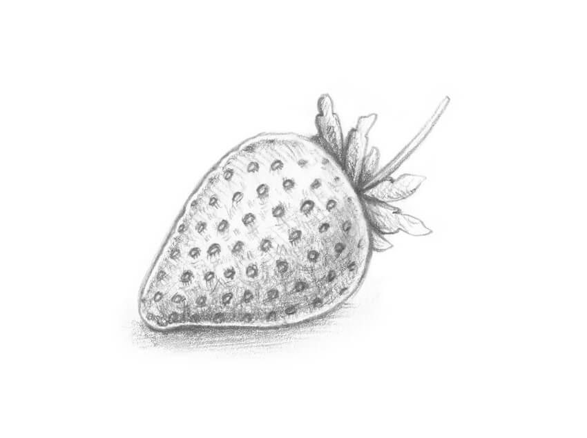 850x635 How To Draw Different Varieties Of Berry - Strawberry Drawing Images