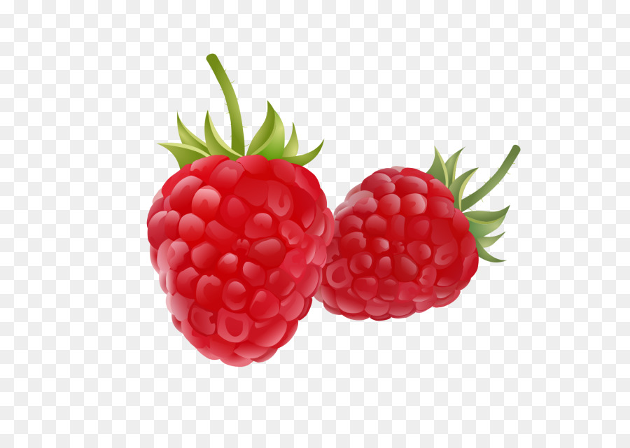 900x640 strawberry, drawing, fruit, transparent png image clipart free - Strawberry Drawing Images