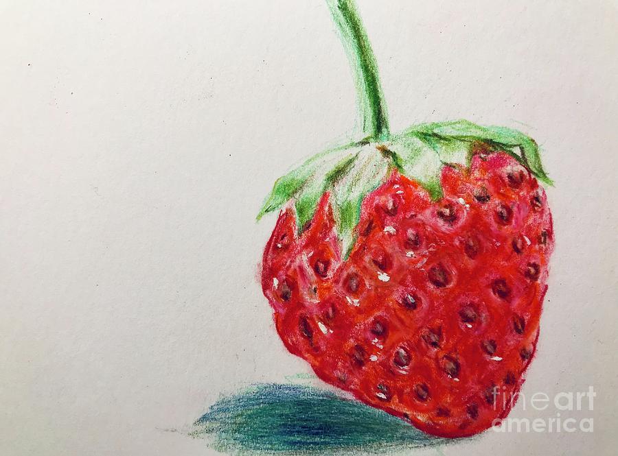 900x665 strawberry drawing - Strawberry Drawing Images