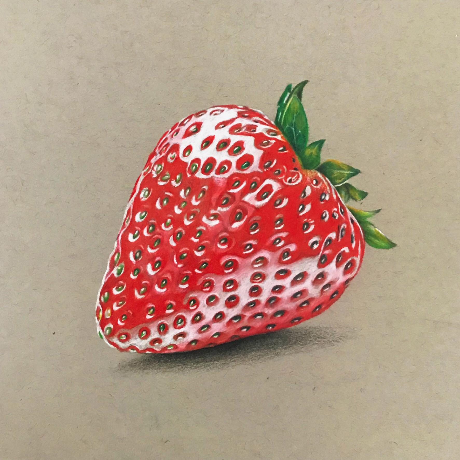 1773x1772 who doesn't love strawberries colored pencil drawing - Strawberry Drawing Images