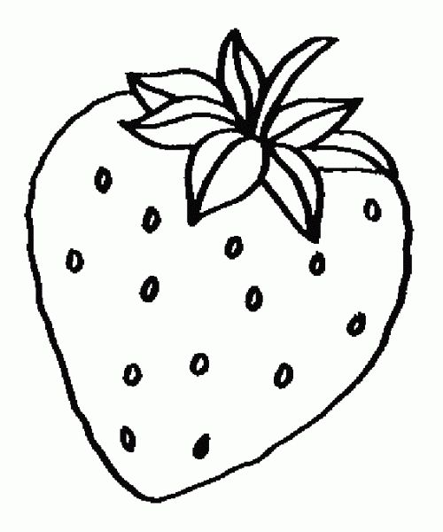 500x600 drawn fruit strawberry - Strawberry Line Drawing