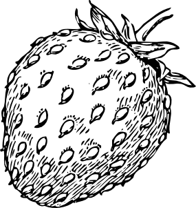 285x301 Drawn Strawberry Line Drawing - Strawberry Line Drawing