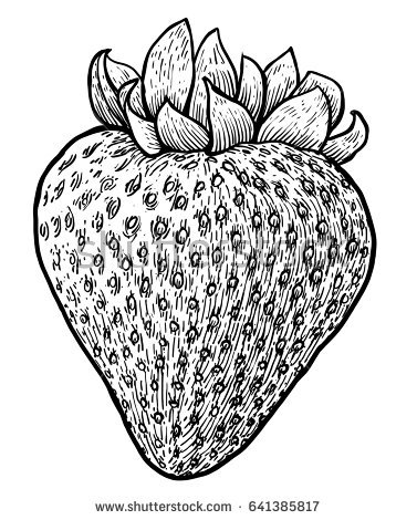 377x470 drawn strawberry ink free clip art stock illustrations - Strawberry Line Drawing