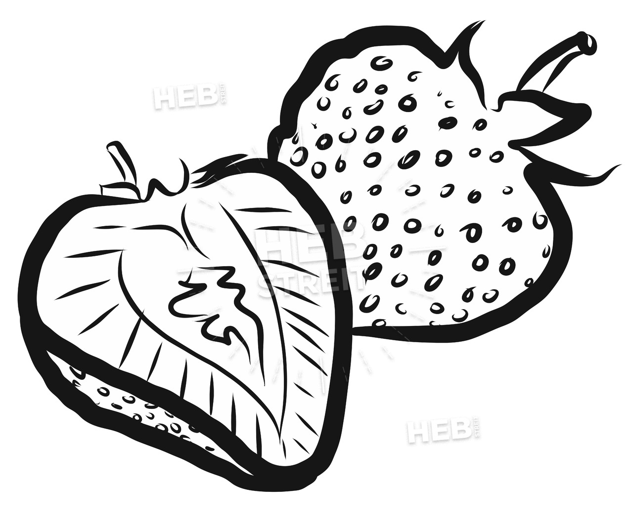 1280x1061 strawberries outline vector illustration hebstreits sketches - Strawberry Outline Drawing