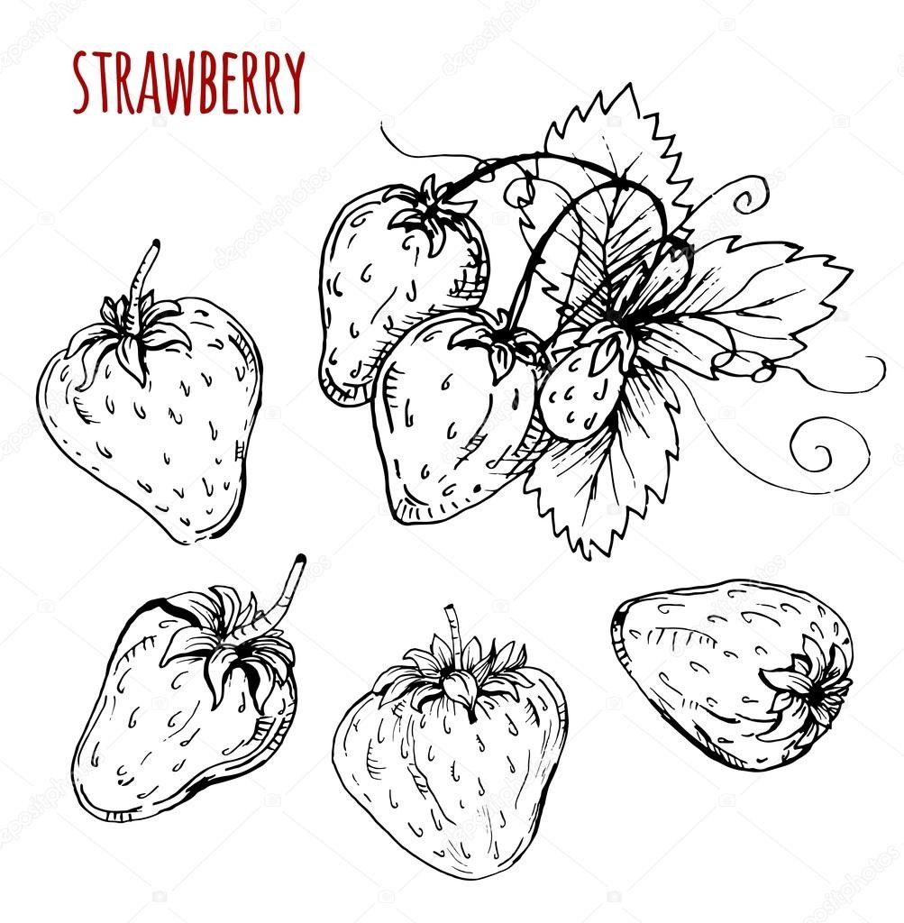 drawberry drawing