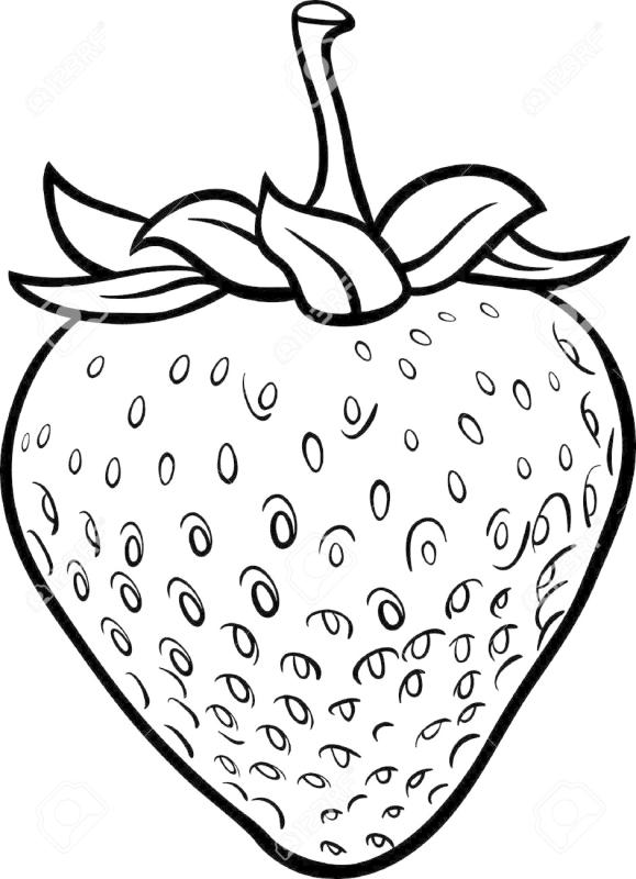 Strawberry Outline Drawing at Explore collection