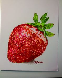 236x299 Photos Strawberry Drawing Sketch Image - Strawberry Pencil Drawing