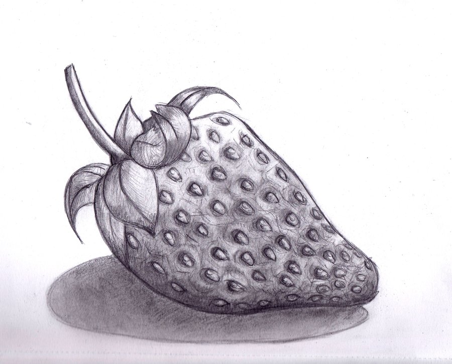 900x725 Pictures Of Strawberry Sketch Pencil - Strawberry Pencil Drawing