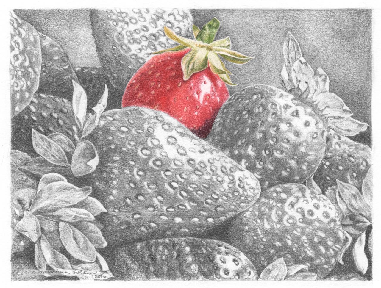 1280x968 strawberries cabin art - Strawberry Pencil Drawing